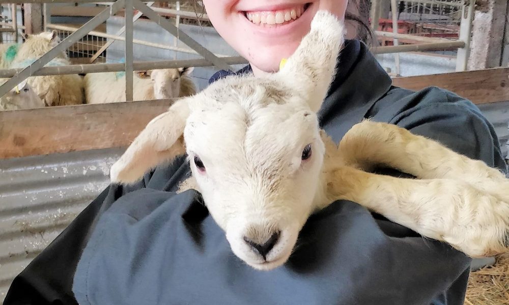 Denbighshire students among first to join new vet degree as part of